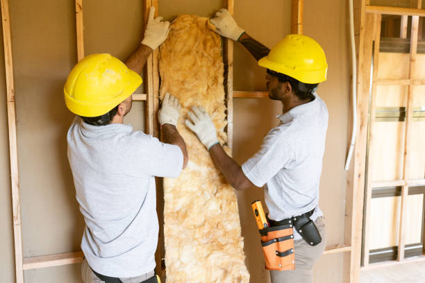 Best Radiant Barrier Insulation  in Orlovista, FL